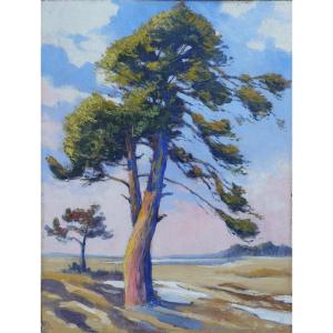 Paysage à l'arbre en Bretagne ou Charentes - attrib. à G. P. Guinegault (1893-1983)