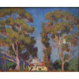Paysage aux grands arbres, Provence, Côte d'Azur. Joseph-Victor ROUX-CHAMPION (1871-1953). 