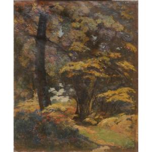Louis Alexandre Cabié (1853-1939). Trees. Around 1910/20