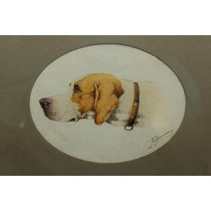 Pointer Hunting Dog Portrait In Profile, 19th Century