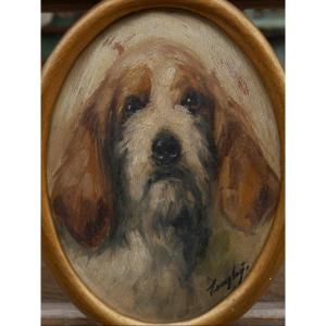 Portrait Of A Griffon Dog. Italian? Signed, Late 19th Century