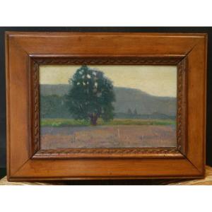 Arbre dans un paysage. Raymond Thibésart (1874-1968).