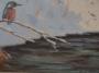 1823574-alb-6aac27e32ebd0.jpg