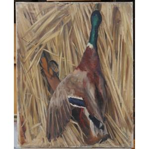 Mallard Duck Hunting Trophy. Early 20th Century School