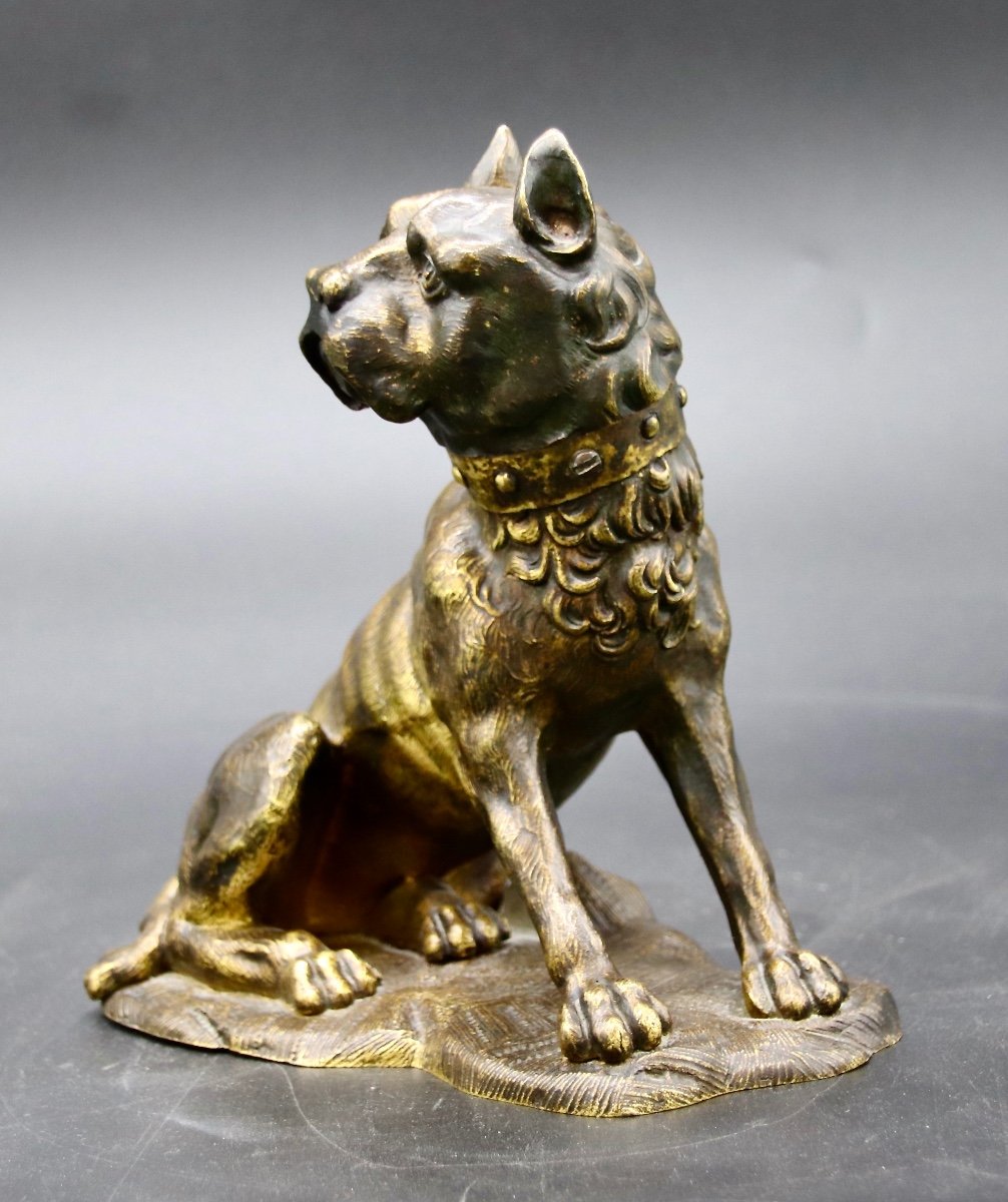 Bronze XIXème Bouldog-photo-1