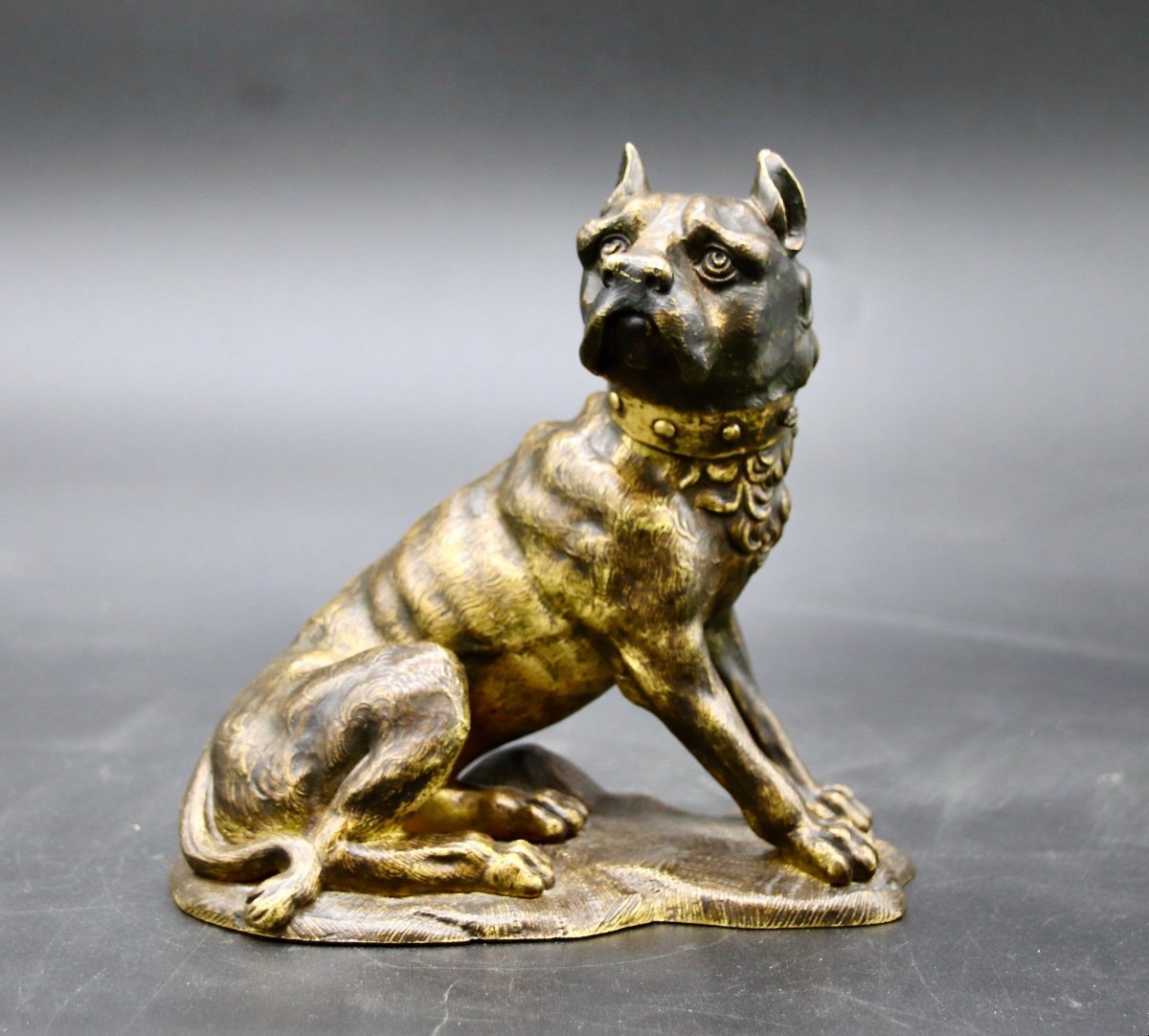Bronze XIXème Bouldog