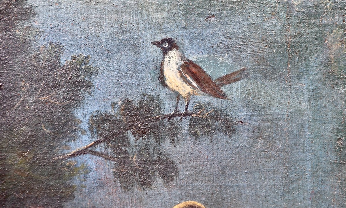 Peinture XVIIème Nature Morte Fleurs Fruits Oiseau -photo-1