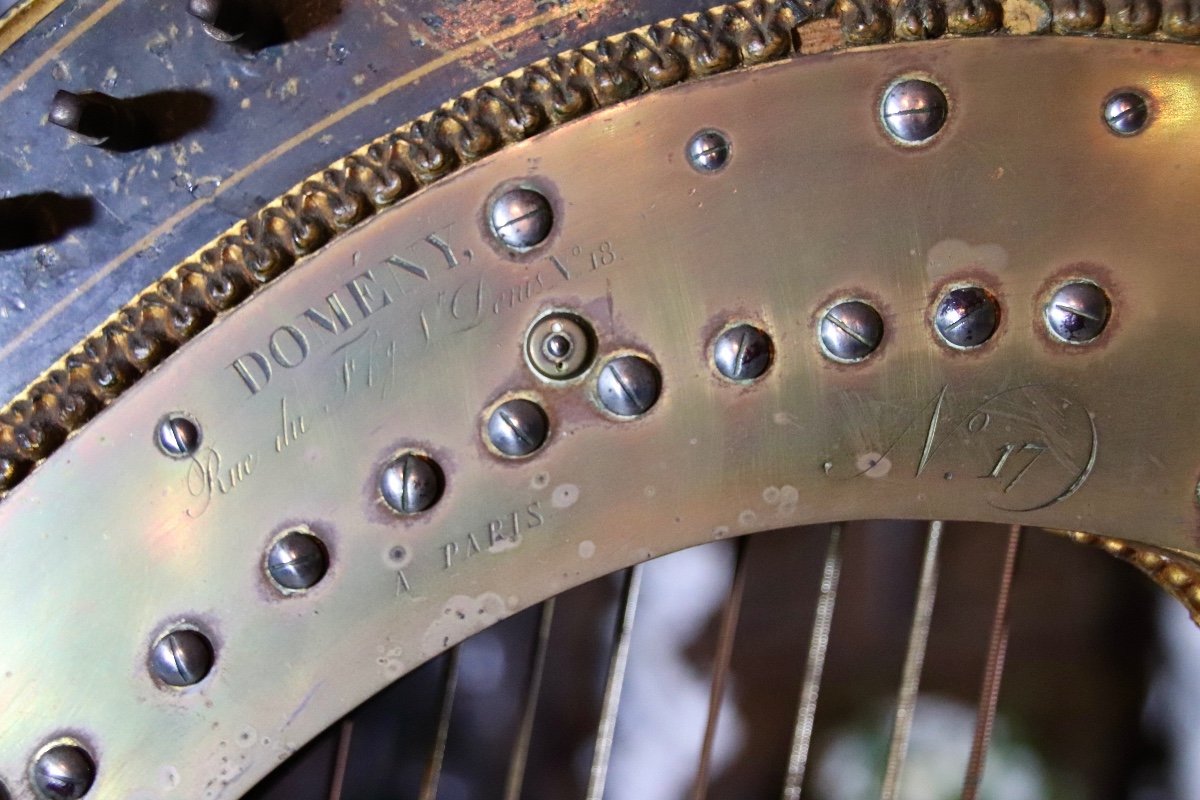 19th Century Harp By Domeny In Paris-photo-6