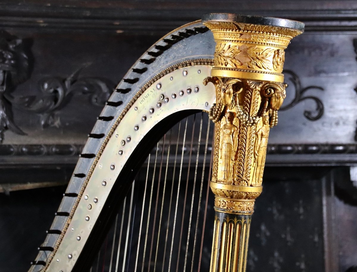 19th Century Harp By Domeny In Paris-photo-7
