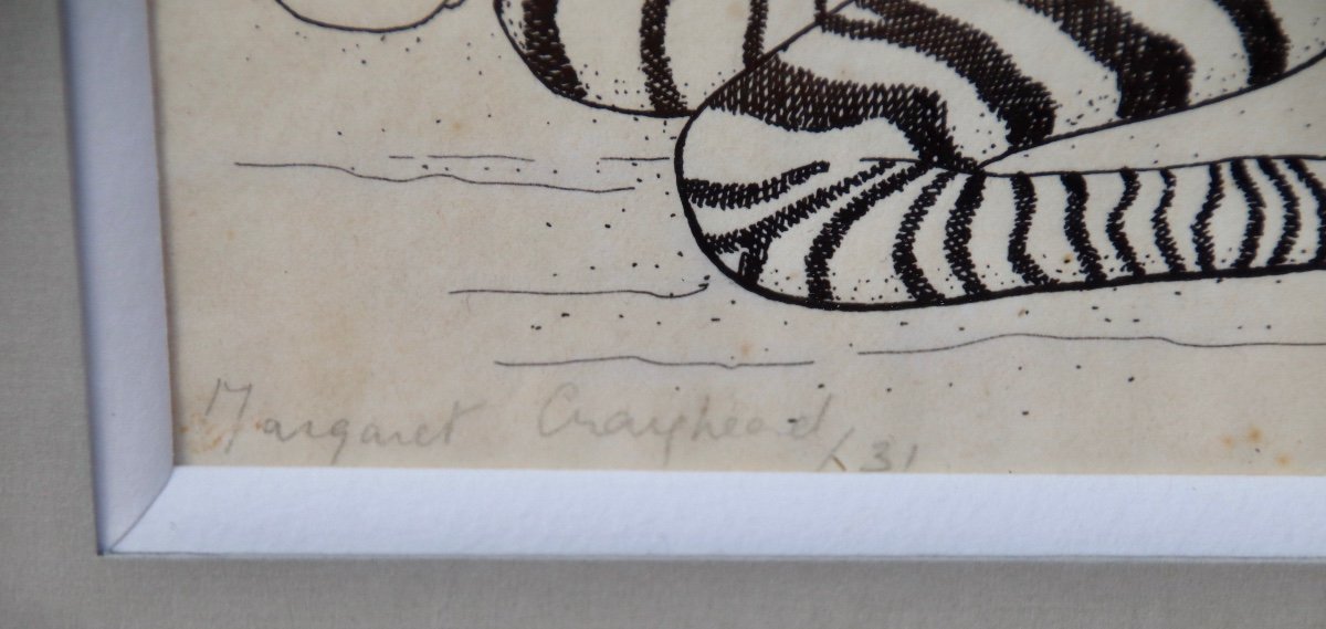 Dessin De Zèbres Par Margaret Craighead -photo-6
