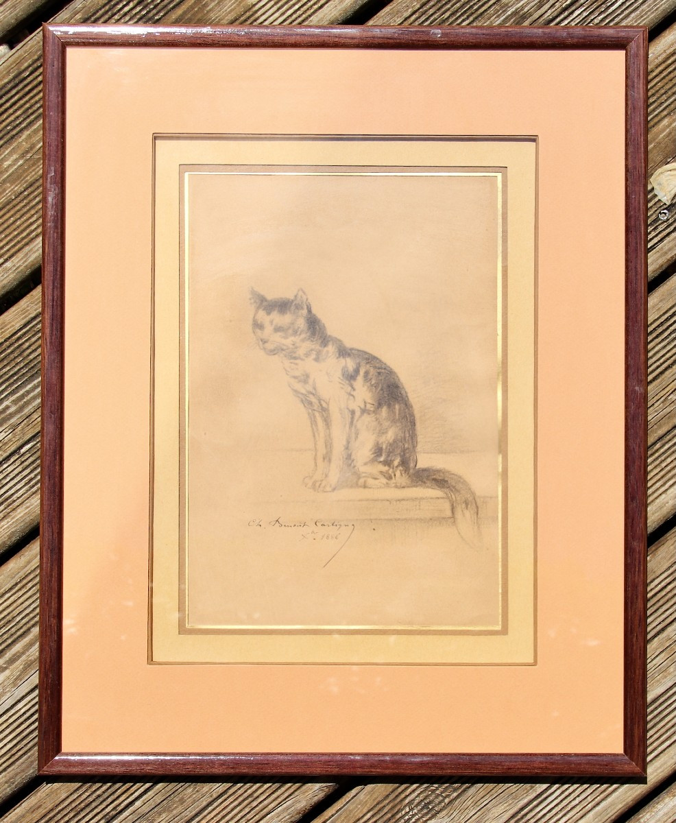 Cat Portrait Drawing By Charles-benoist Cartigny