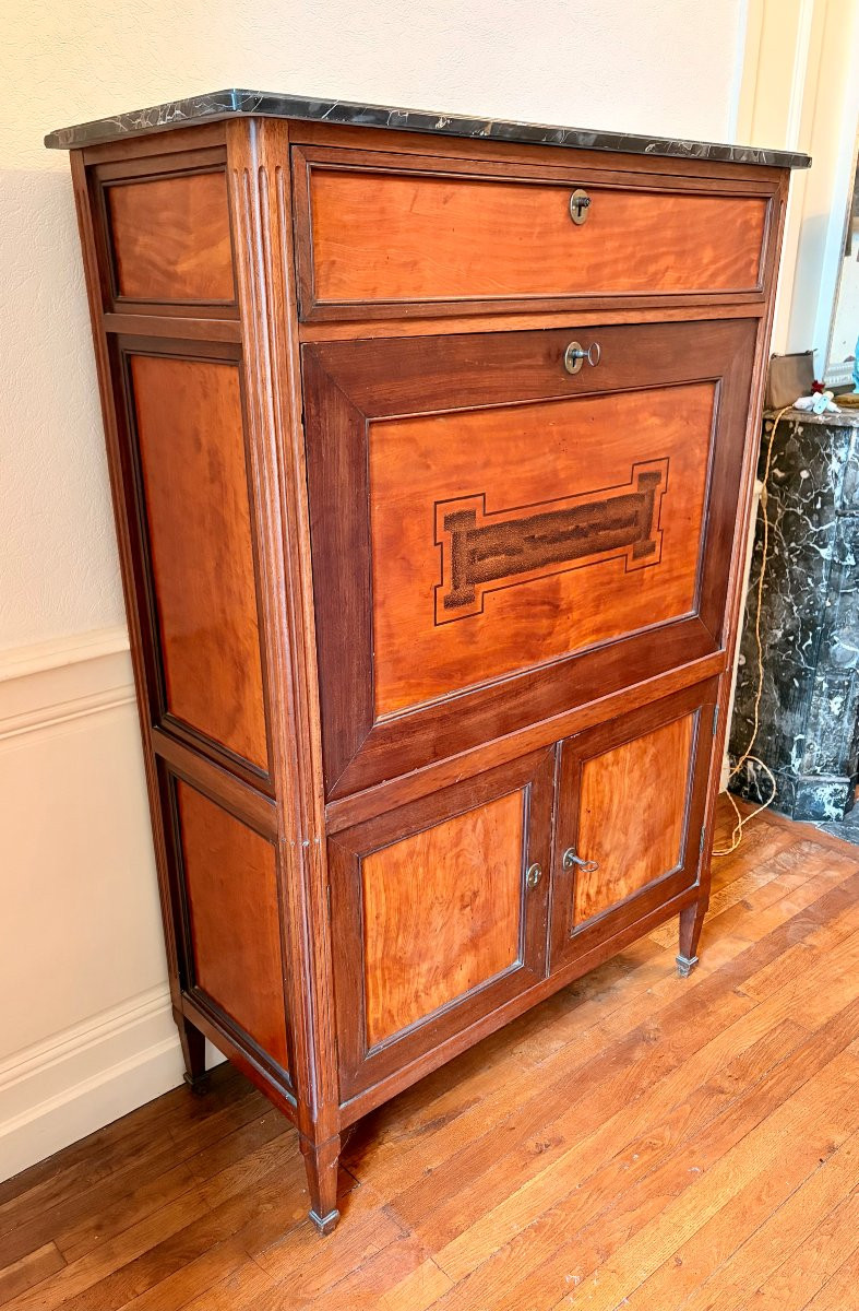 Louis XVI Secretary In Amaranth And Lemonwood -photo-2