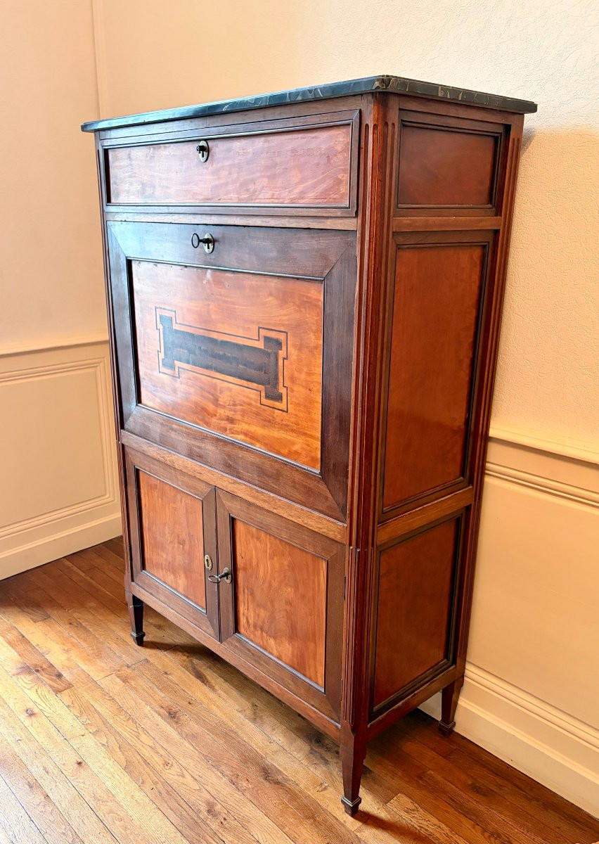 Louis XVI Secretary In Amaranth And Lemonwood -photo-3