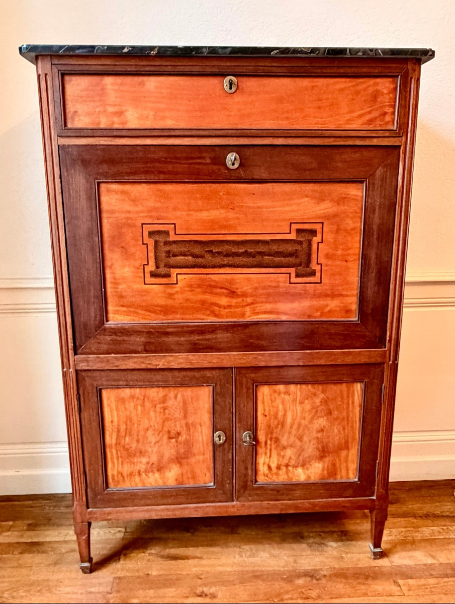 Louis XVI Secretary In Amaranth And Lemonwood 