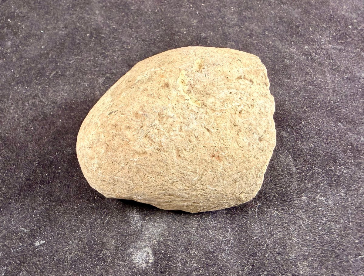 Set Of 7 Prehistoric Axes -photo-4