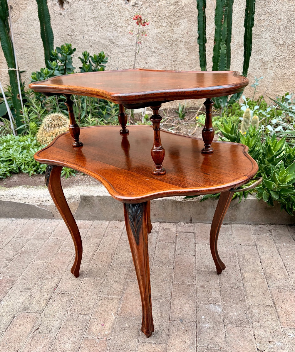 19th Century Tea Table In Exotic Wood 