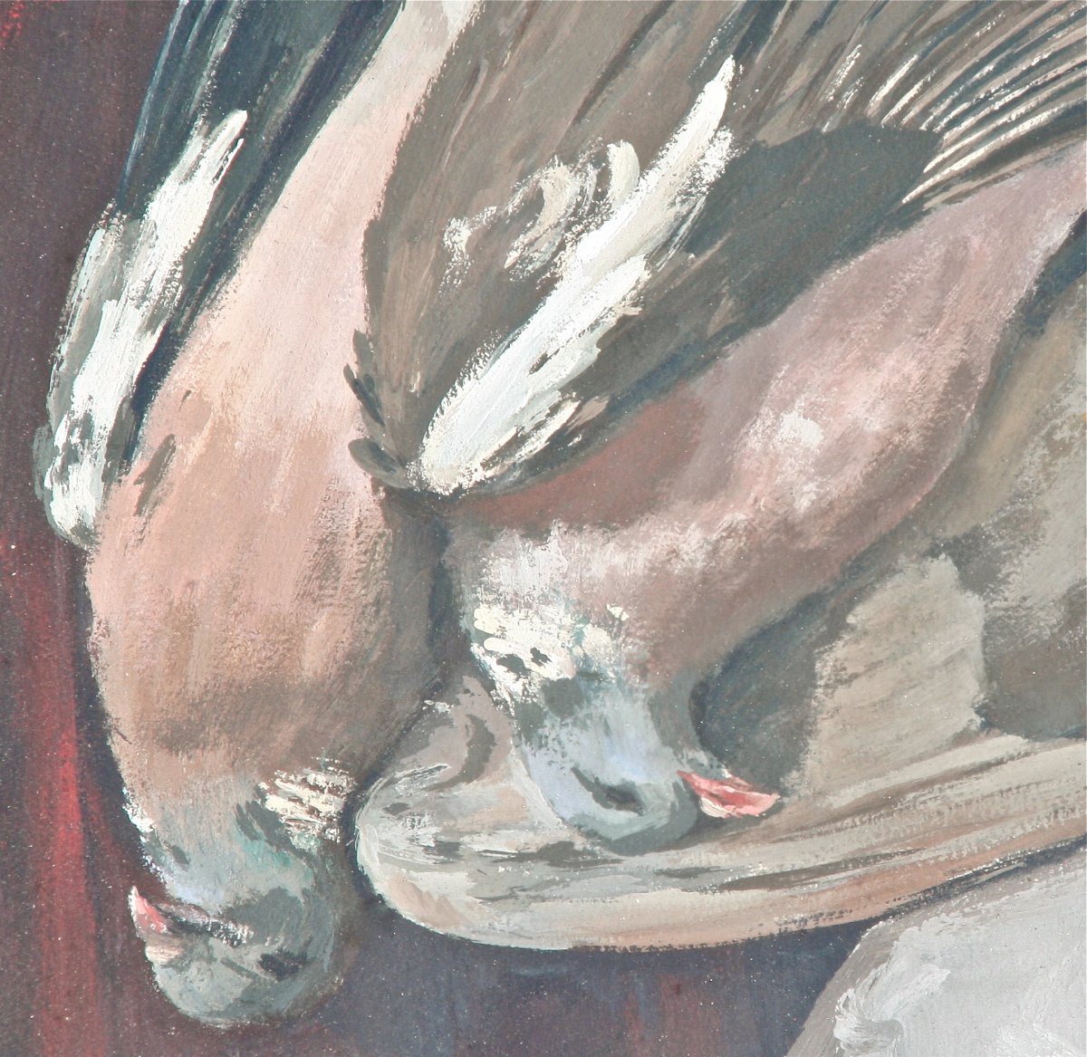Gouache Still Life Twentieth Of Wood Pigeons-photo-3