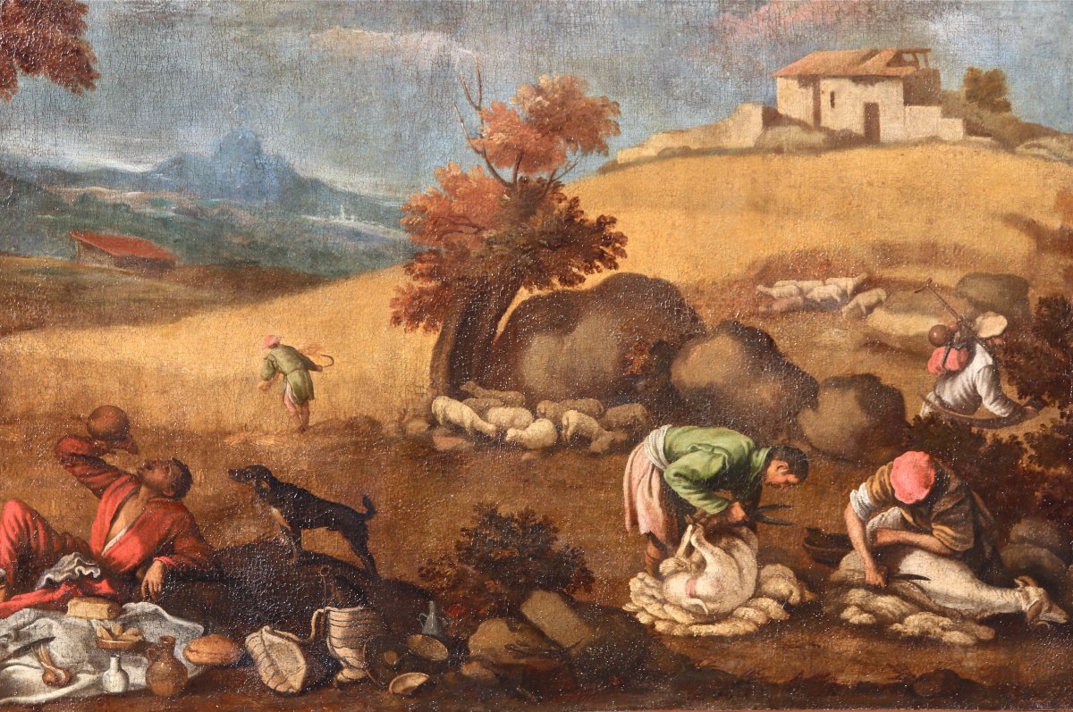 Grande Peinture XVIIème école De Francesco Bassano La Tonte Des Moutons-photo-5