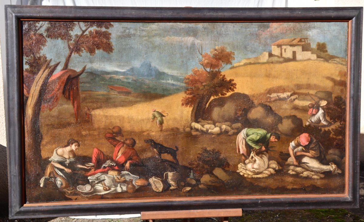 Grande Peinture XVIIème école De Francesco Bassano La Tonte Des Moutons