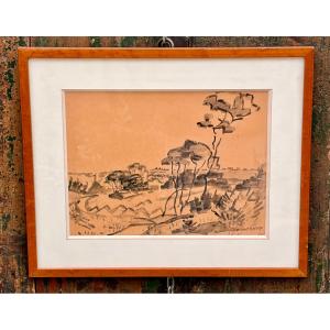 dessin lavis paysage par Jean-Vincent DARASSE