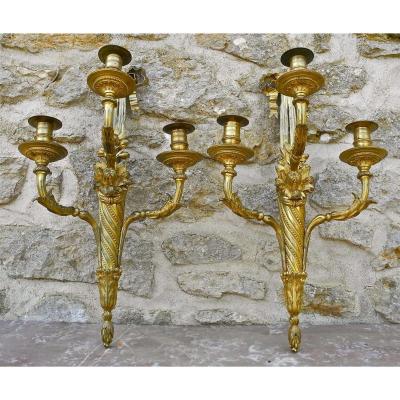 Pair Of Louis XVI Gilt Bronze Sconces Eighteenth Time