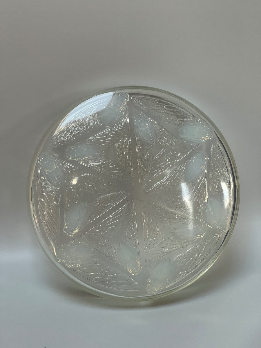 R Lalique Boîte Cigales 1921-photo-1