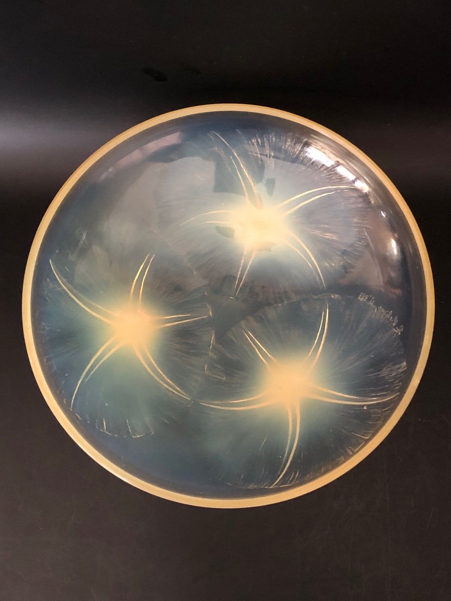 René Lalique Volubilis Opalescent Yellow Cup-photo-3