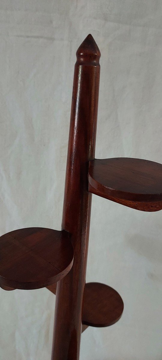 Mahogany “cloud Tree” Display With Six Trays -photo-3