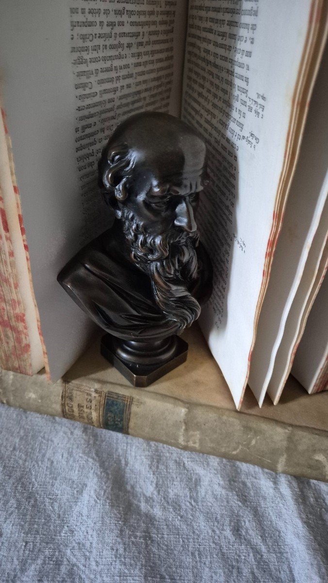 Bronze Bust Of Archimedes With Brown Medal Patina -photo-2