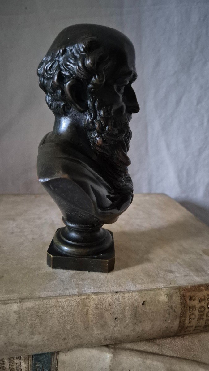 Bronze Bust Of Archimedes With Brown Medal Patina -photo-4