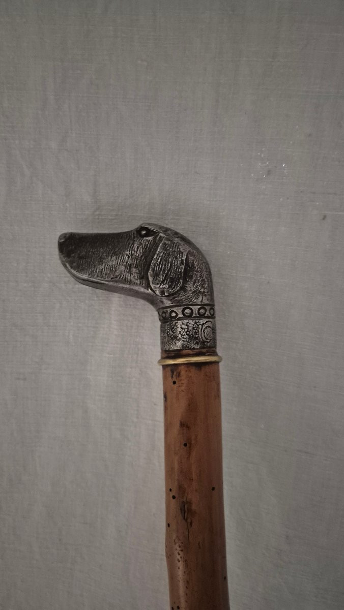Canne de défense " casse tête " pommeau figurant une tête de chien de chasse braque hongrois -photo-1