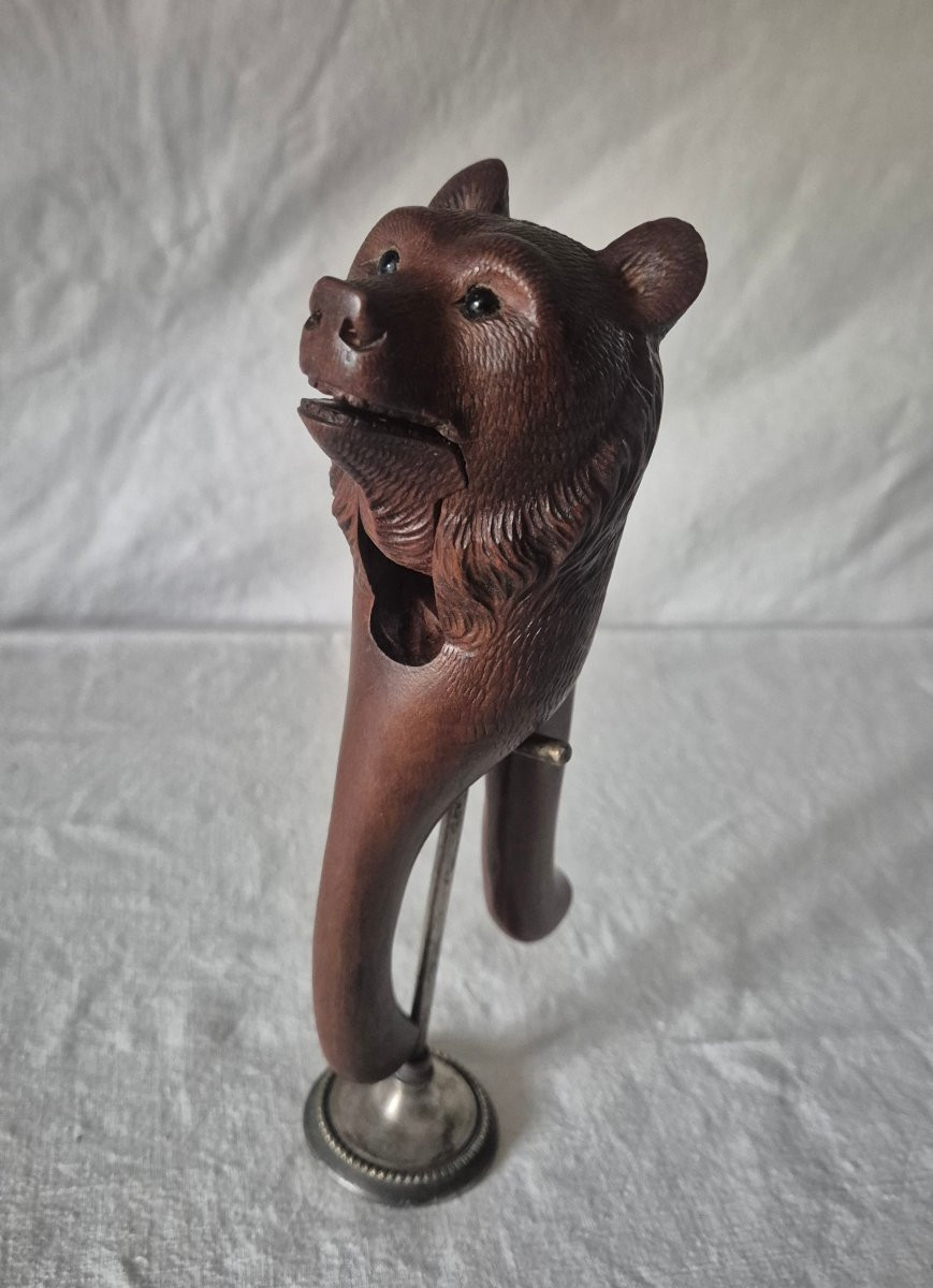 Casse noisette ours en bois sculpté Forêt Noire du XIXème siècle -photo-3