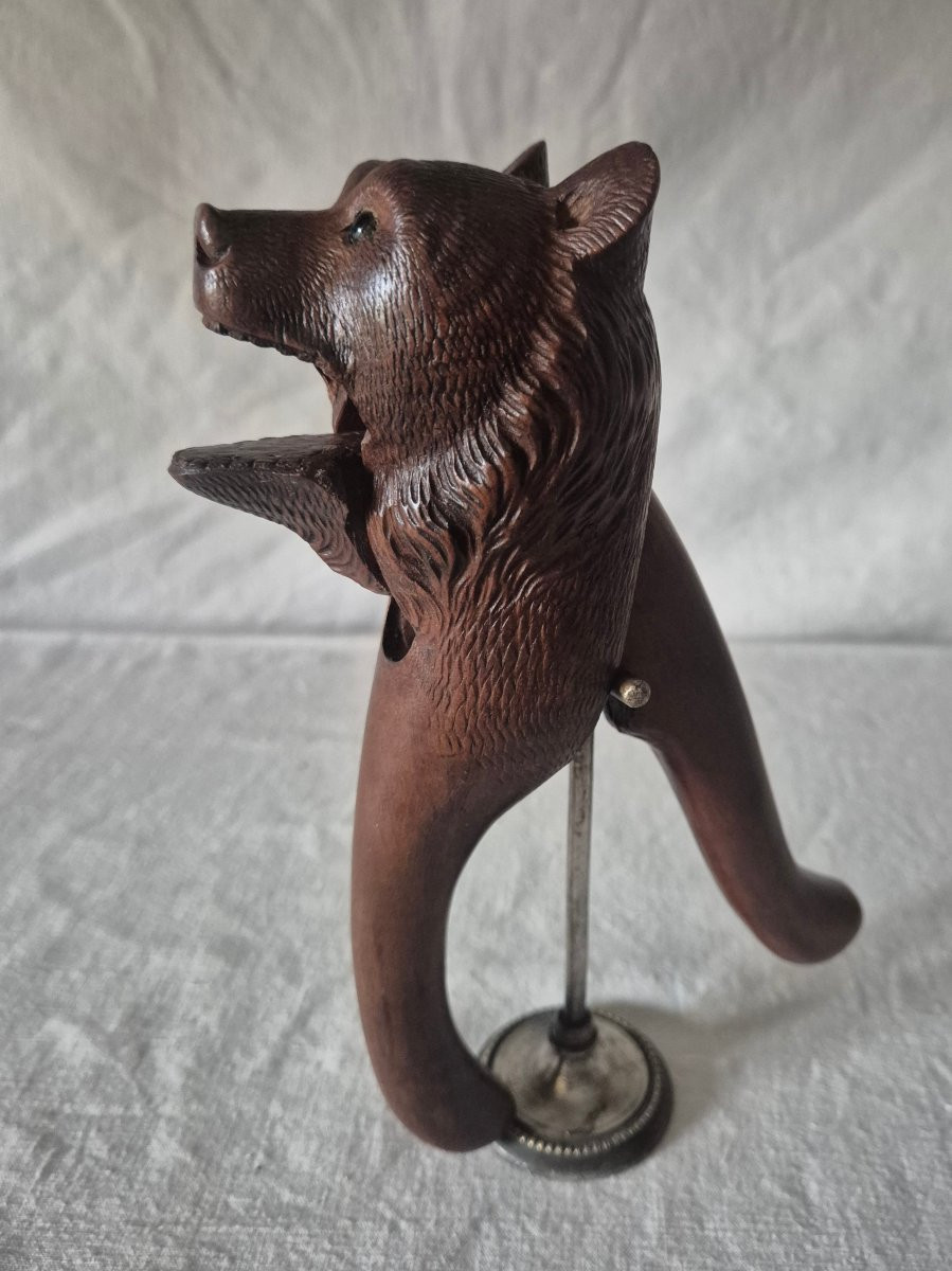Casse noisette ours en bois sculpté Forêt Noire du XIXème siècle -photo-3
