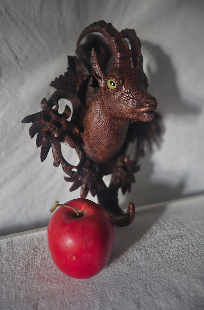 Porte manteaux chamois Forêt Noire,  Suisse XIXème siècle -photo-2