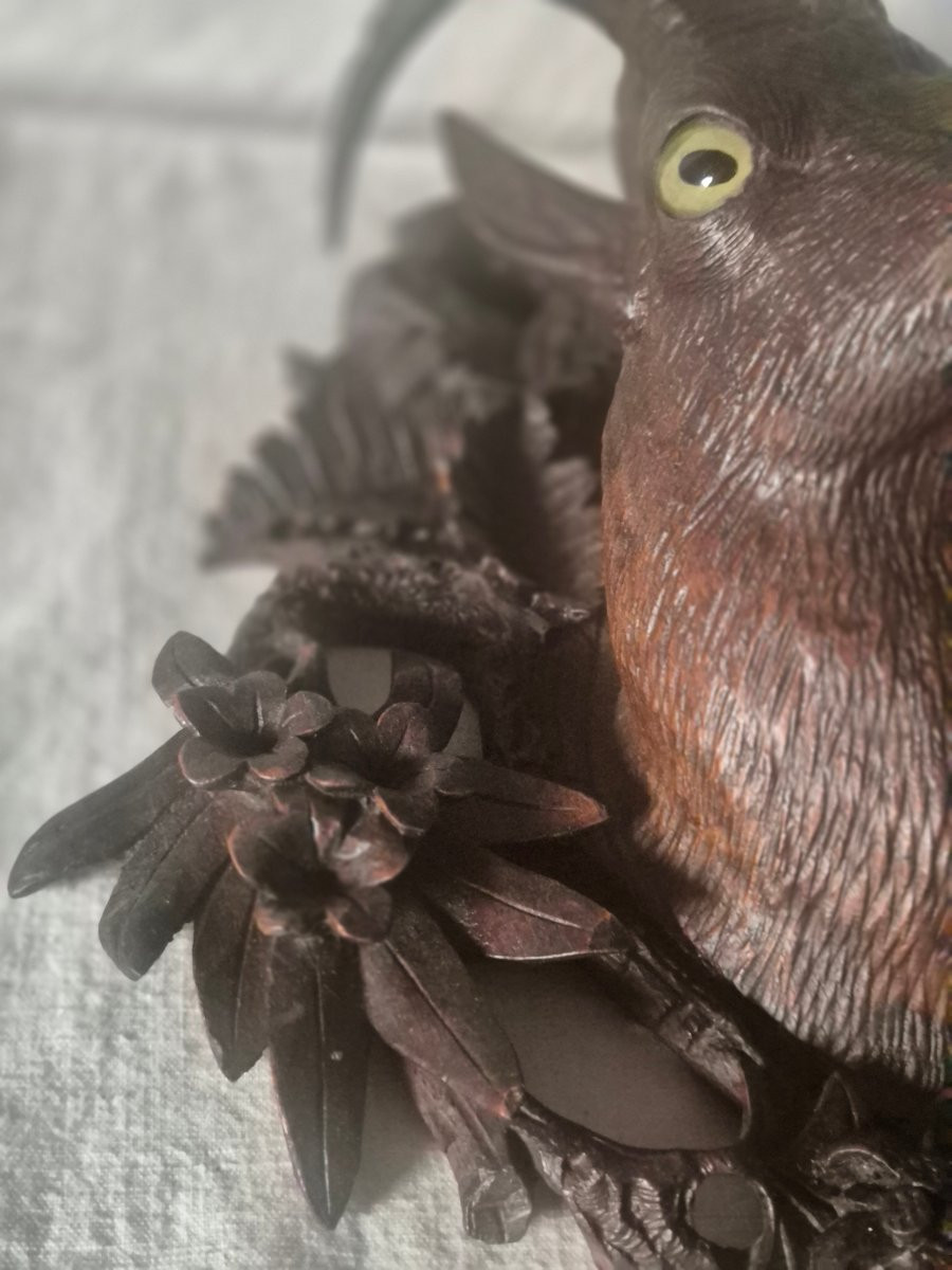 Porte manteaux chamois Forêt Noire,  Suisse XIXème siècle -photo-6