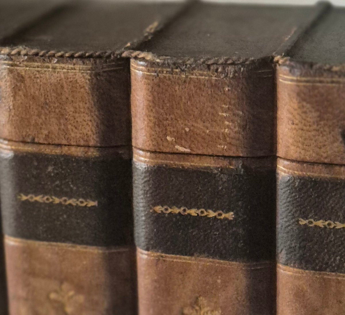 Boîte à secrets faux livres en cuir relié -photo-4