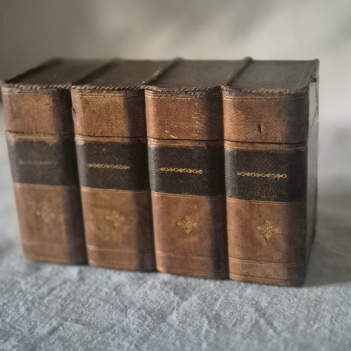 Boîte à secrets faux livres en cuir relié 