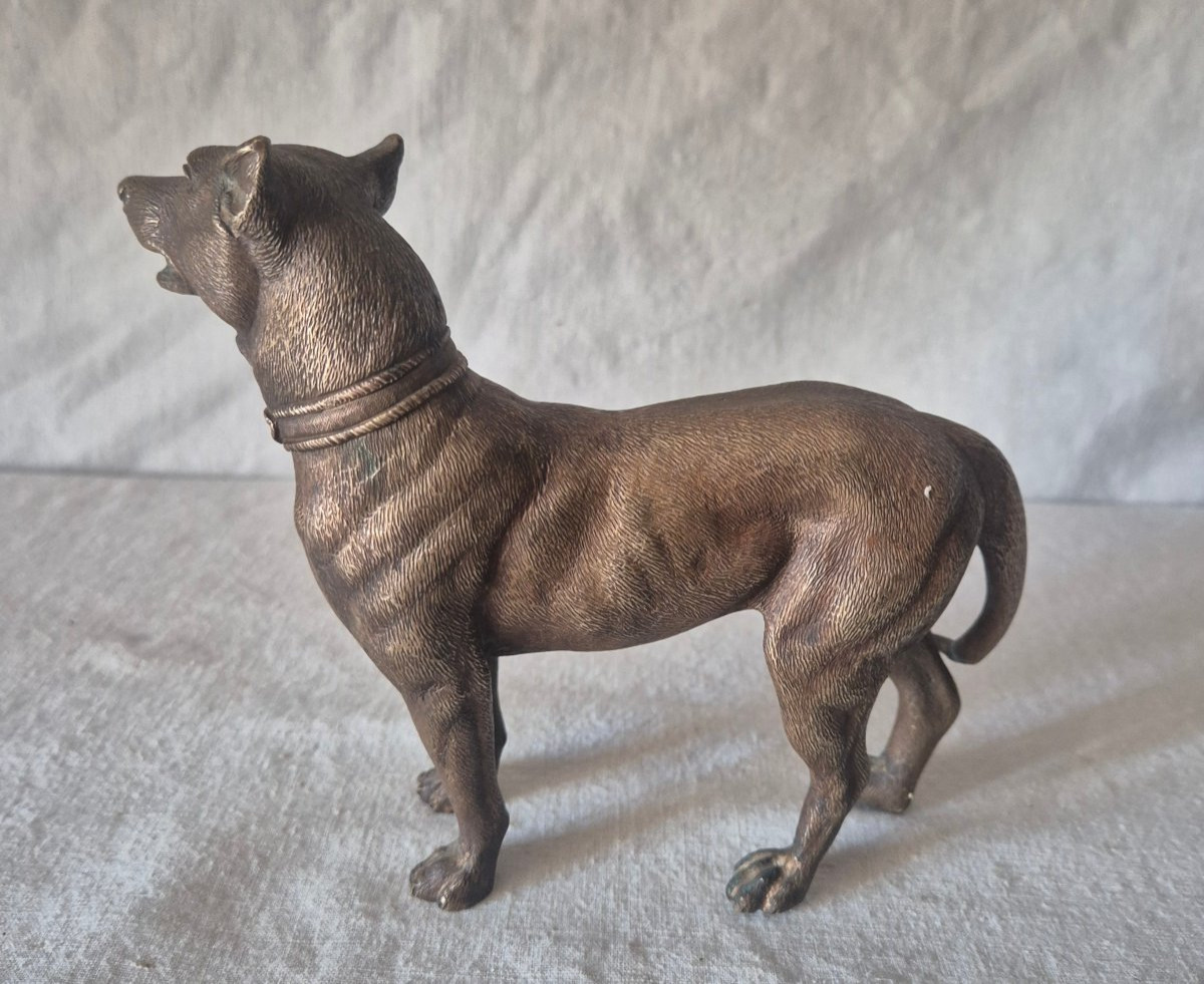Standing Dog In Gilt Bronze, Early 20th Century -photo-4
