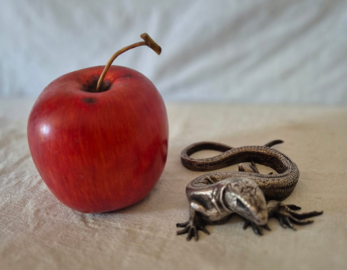 Presse papier lézard en bronze argenté -photo-1