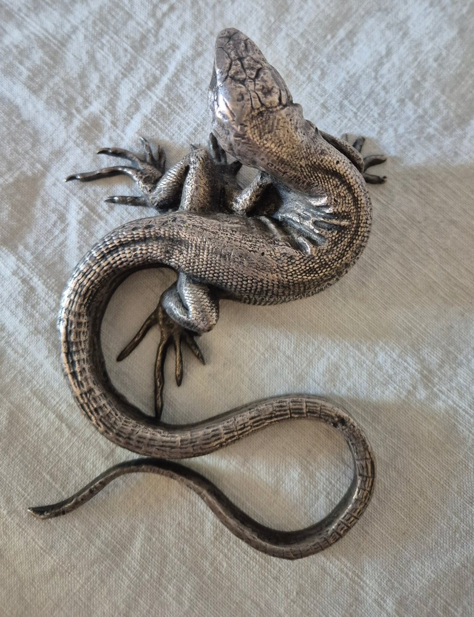 Presse papier lézard en bronze argenté -photo-5