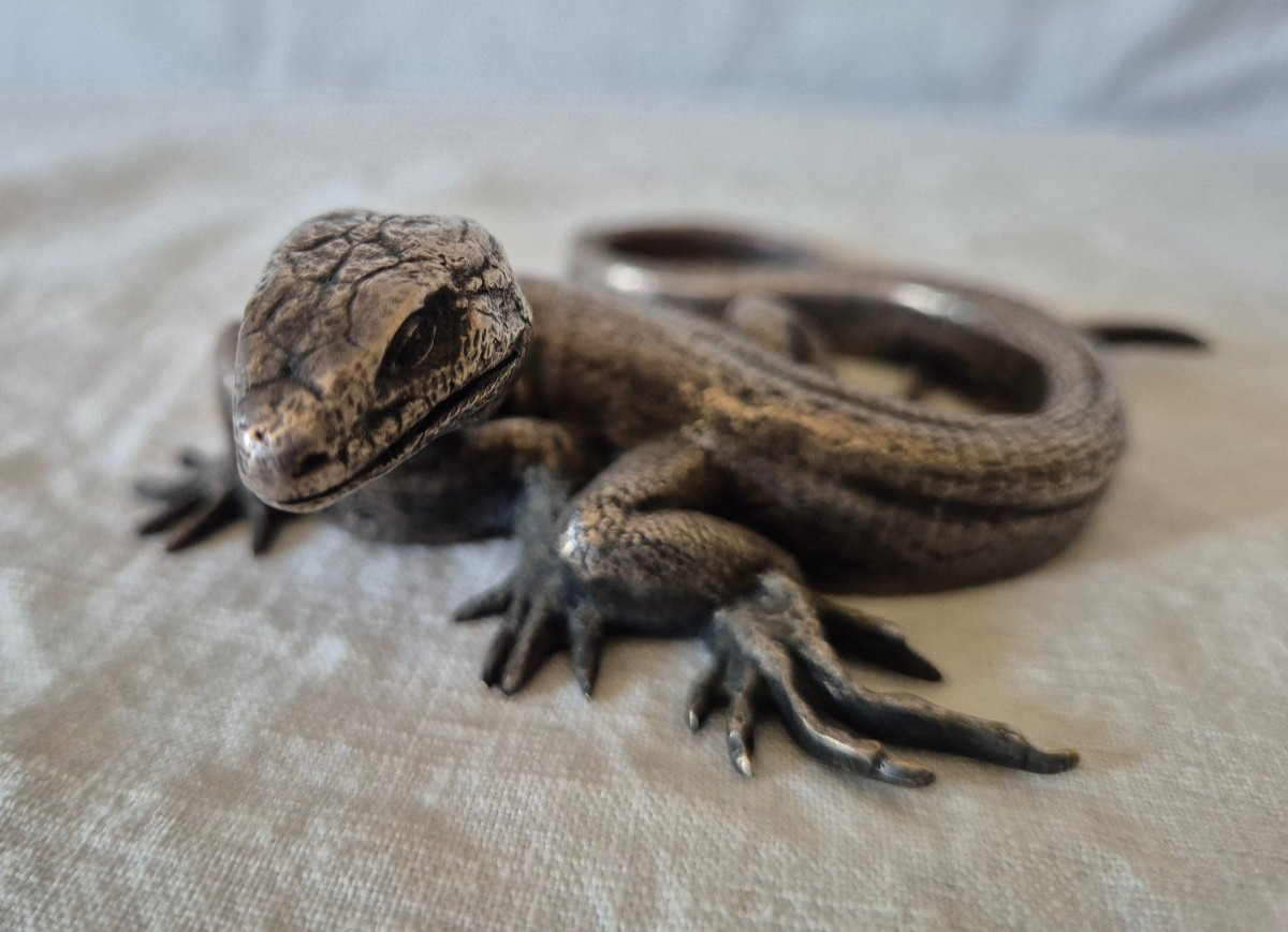 Presse papier lézard en bronze argenté -photo-6