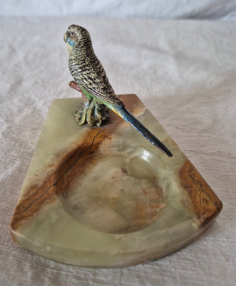 19th Century Vienna Bronze Pocket With Parrot-photo-8