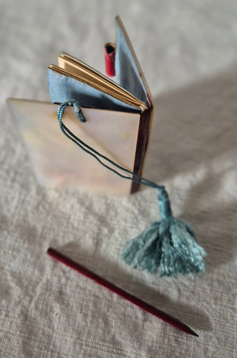 Tout petit carnet de bal souvenir en nacre clair et décor sculpté foncé du XIXème siècle -photo-4