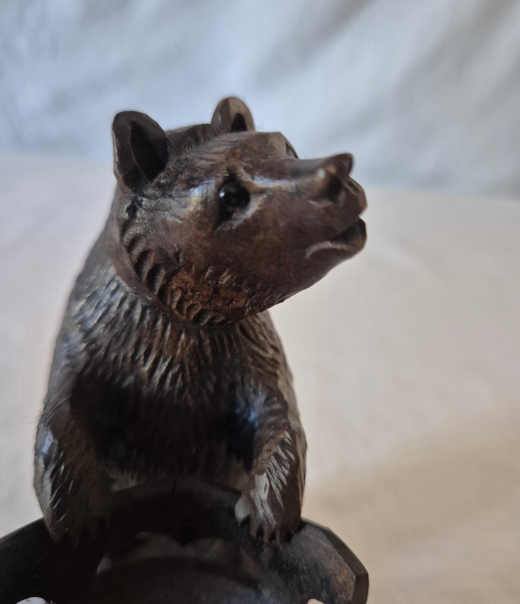 Ours Forêt Noire pyrogène en bois sculpté Suisse XIXème siècle -photo-1