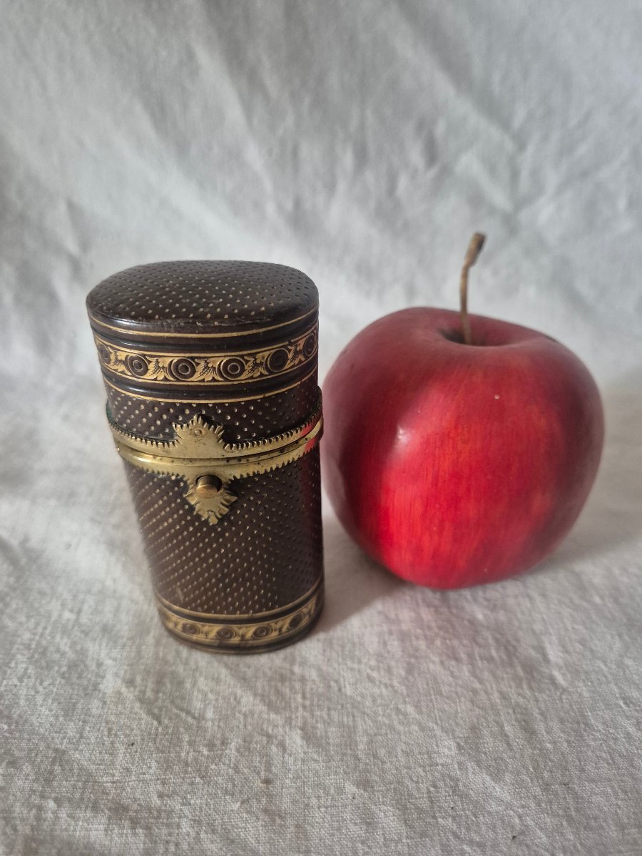 Etui en cuir dorures au fer à l'usage à définir début XIXème siècle -photo-2