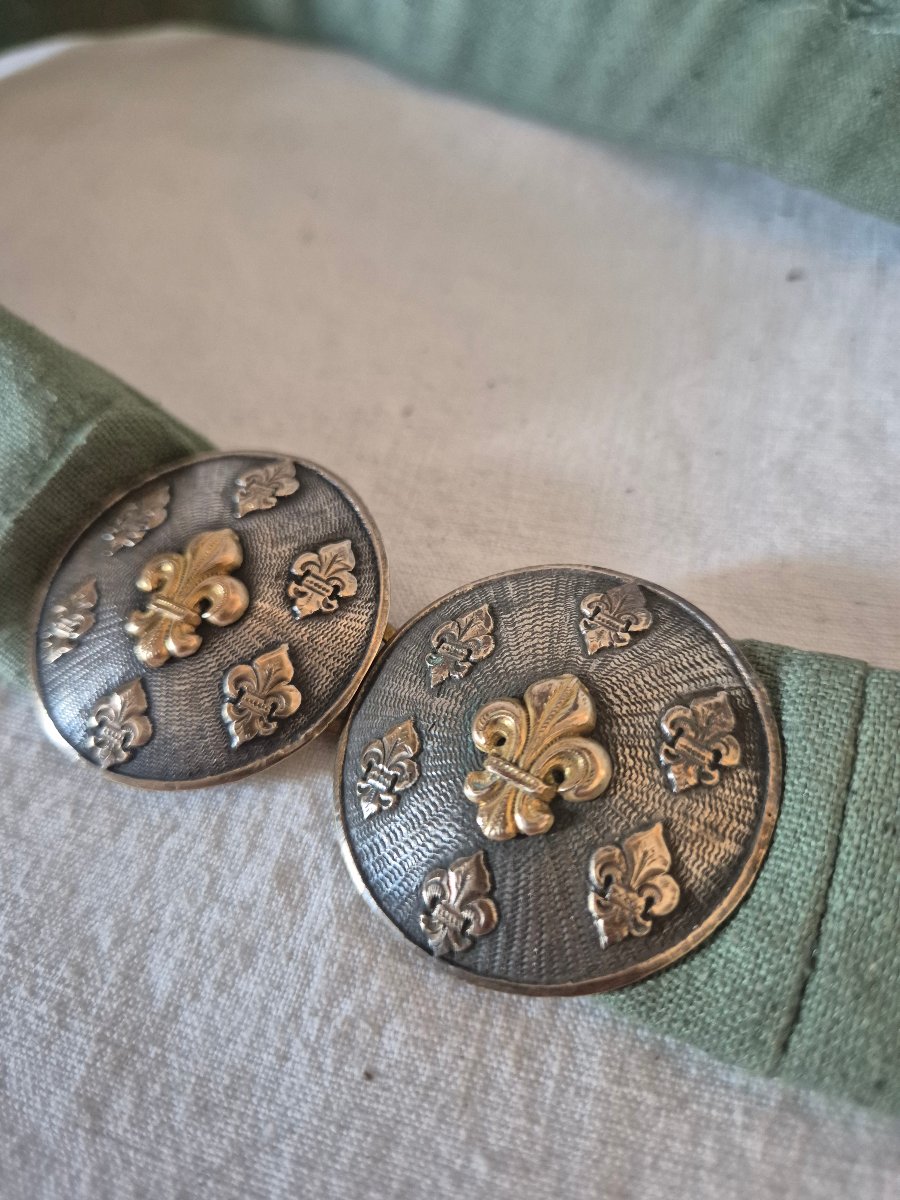 Paire de boucles de ceinture rondes aux fleurs de lys-photo-2