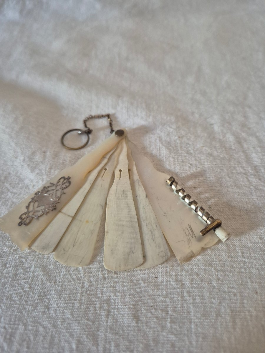 Carnet de bal en nacre et argent avec des feuilles en ivoire du XIXème siècle 