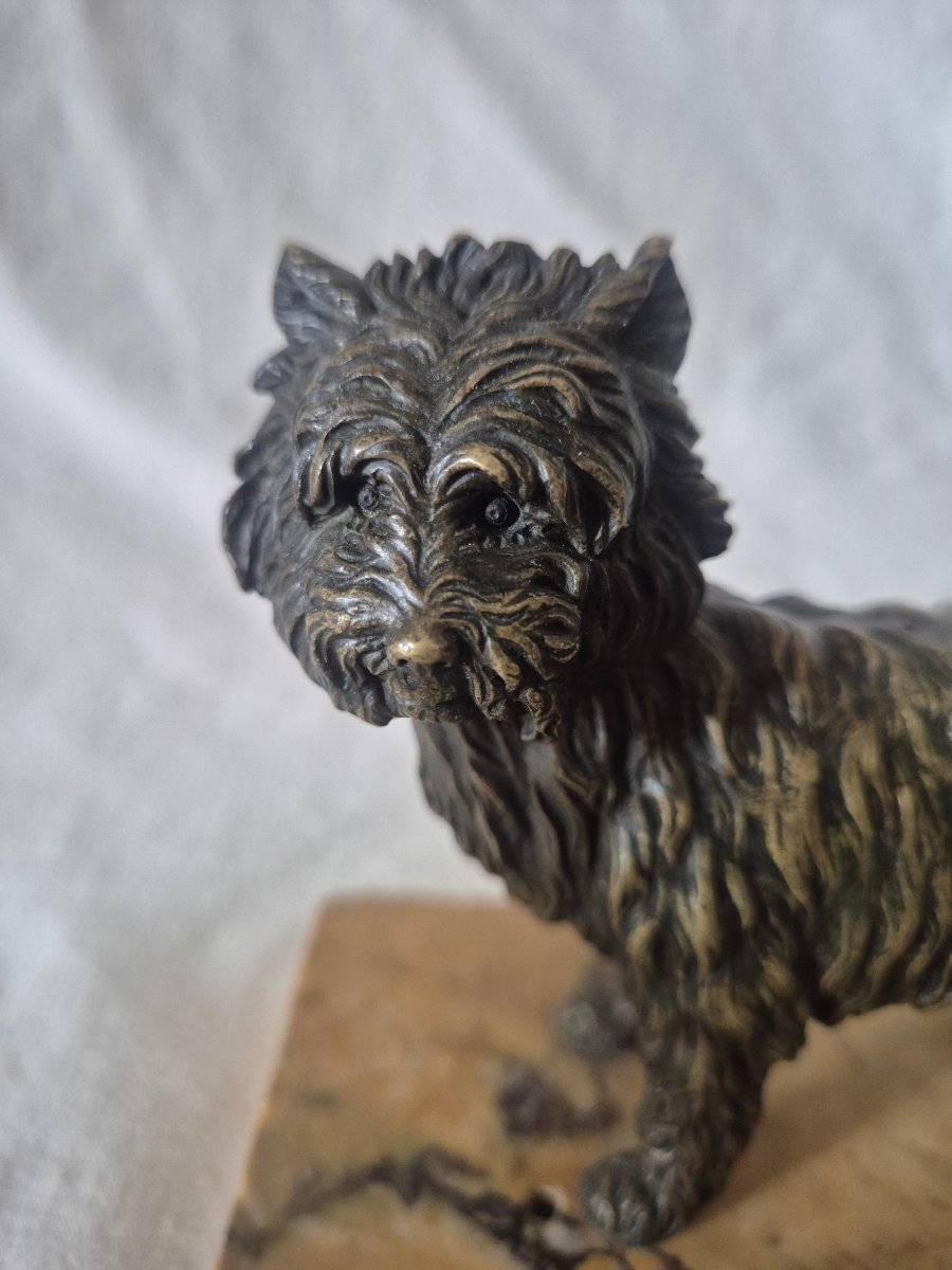 Standing Bronze Dog, Terrier-type, Ancient Breed, 19th Century -photo-3