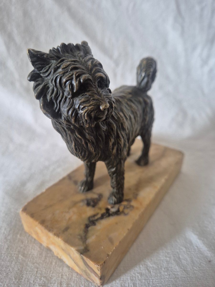 Standing Bronze Dog, Terrier-type, Ancient Breed, 19th Century -photo-2