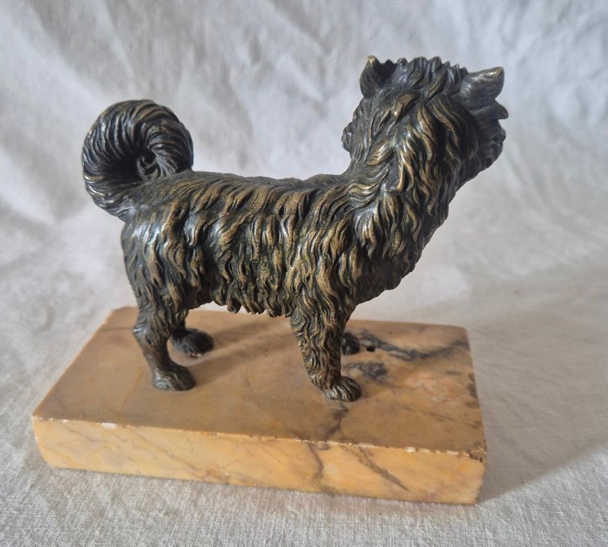 Standing Bronze Dog, Terrier-type, Ancient Breed, 19th Century -photo-3
